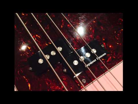 Seymour Duncan Quarter Pounder P Bass Pickup Test