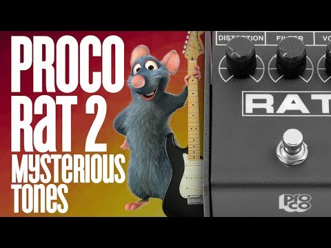How To Get CRAZY Distortion With The ProCo Rat 2