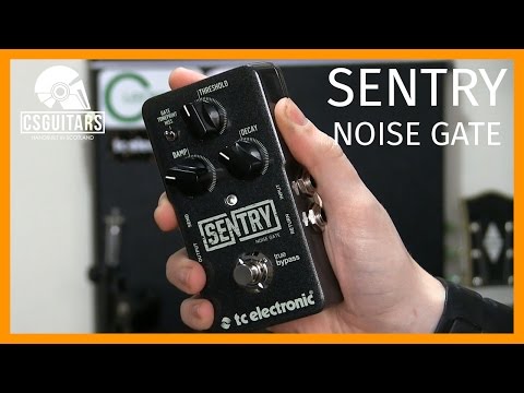 Sentry Noise Gate TC Electronic: Gear Review